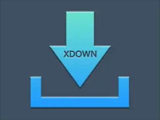 Xdown v2.0.9.4 (支持油管下载) 免费无广告多线程下载工具